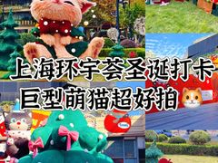 -中海环宇荟
