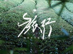 -敬亭山风景名胜区