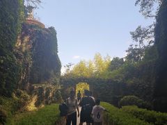 -蛇蟠岛