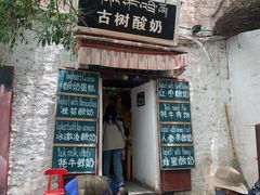 -古树酸奶(八廓南街店)