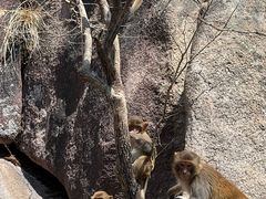 -崂山巨峰游览区