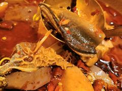 -君悦酒店·1881·北京烤鸭