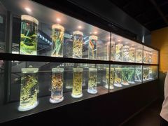 -广东中医药博物馆
