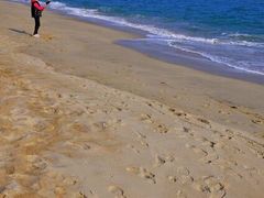 -玫瑰海岸文化旅游度假区