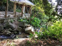 -火炉山森林公园