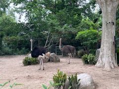 -上海动物园(地铁站)