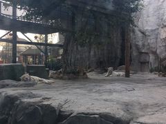 -灵玲国际马戏城