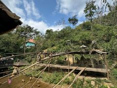 -西双版纳原始森林公园