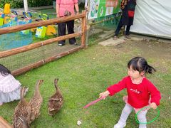 -洪湖家庭农场·团建·露营·会议