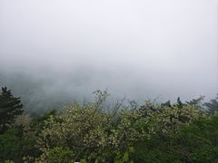 -石老人观光园