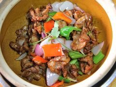 XO酱爆海鸥扣-高村农场
