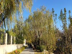 -元大都城垣遗址公园