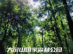 -大奇山国家森林公园