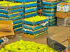 -大连果菜批发市场