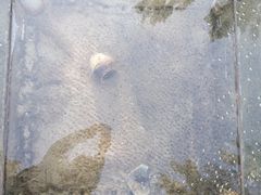 -河北省园博园