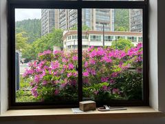-千岛湖城中湖游船码头