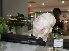 -ALIV WELLNESS运动健身(浦东大道店)