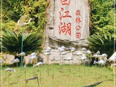 -广州白江湖森林公园