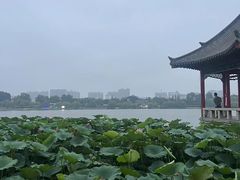 -解放阁