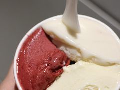 -Dip in Gelato(富民路店)
