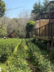 点击看大图 -尚圣月子会所·庄园式月子中心(萧山湘湖店)