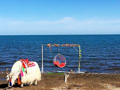 -青海湖国家重点风景名胜区