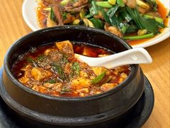 金牌麻辣豆腐-陈麻婆豆腐总店