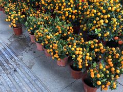 -细村农贸综合市场