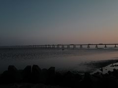 -南汇新城海滩