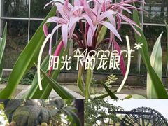 -南通洲际绿博园