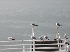 -大连老虎滩海洋公园
