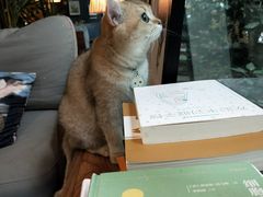 -咖法森林·咖啡  酒吧(天河店)