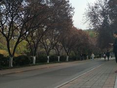 -山东师范大学(千佛山校区)
