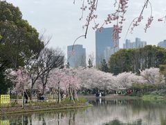 -上海世纪汇广场