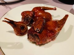 -荣轩(新荣记环球金融中心店)