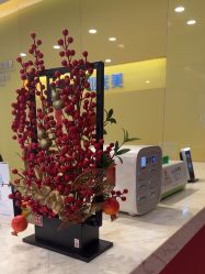 -苏亚医美·高端注射明星整形机构