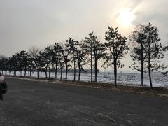 -汉长安城未央宫国家考古遗址公园