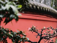 -成都武侯祠博物馆
