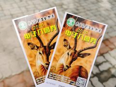 -秦皇岛野生动物园