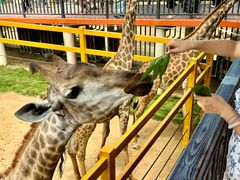 -西霞口神雕山野生动物世界