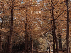 -万泉公园