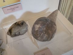 -北京动物园-畅观楼