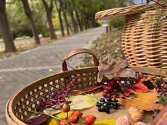 -国家植物园南园