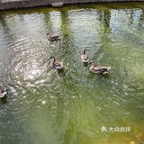 周末不出京 全家温泉私汤好去处