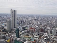 -东京都厅舍