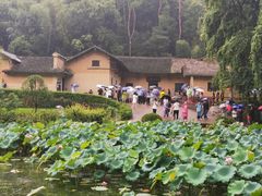 -韶山毛泽东同志故居