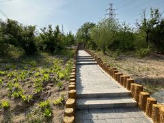 -白水寺森林公园