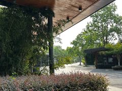 -昆山城市生态森林公园