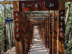 -云碧峰国家森林公园