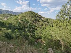 -白水寺森林公园